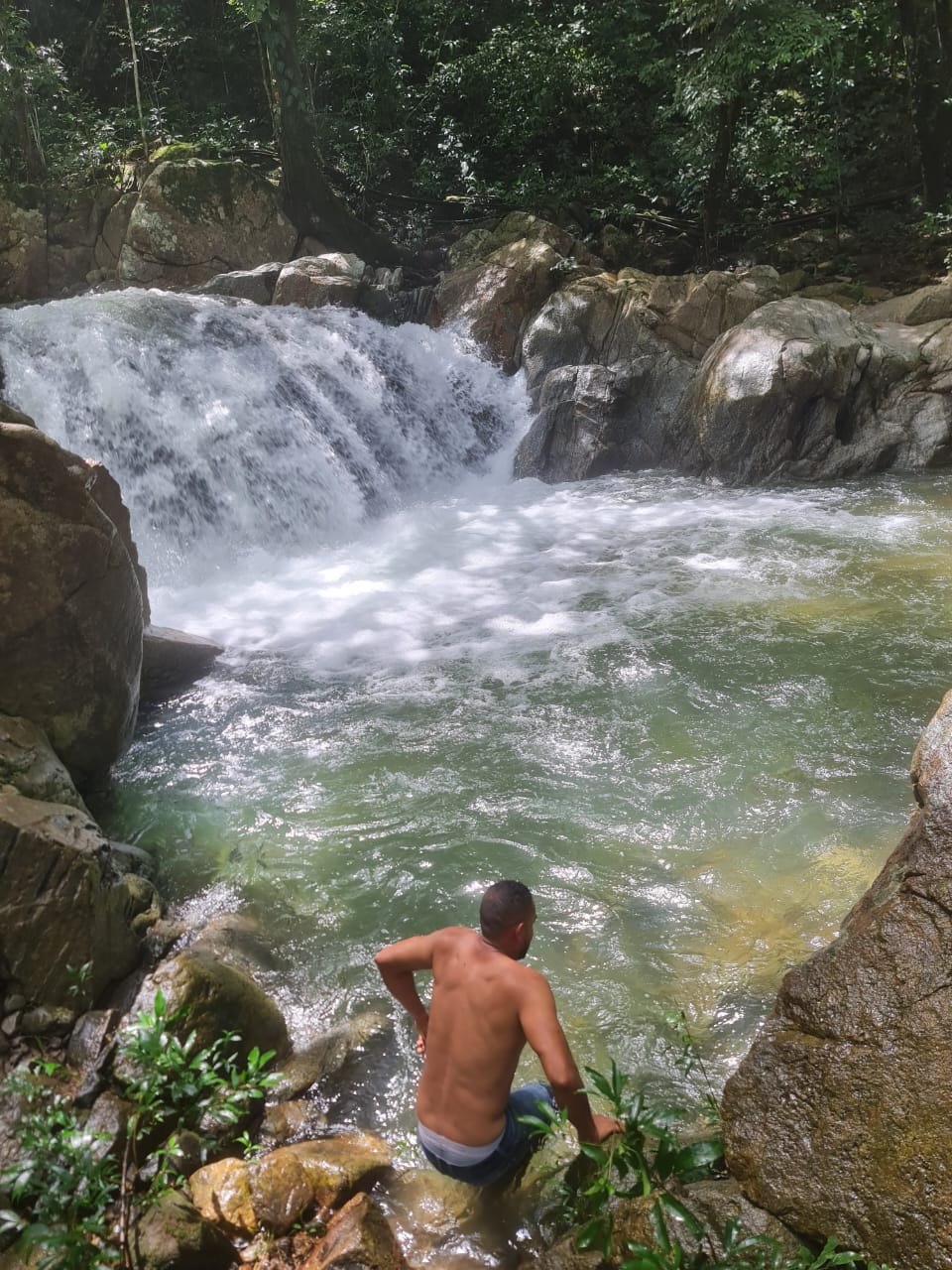 mamey